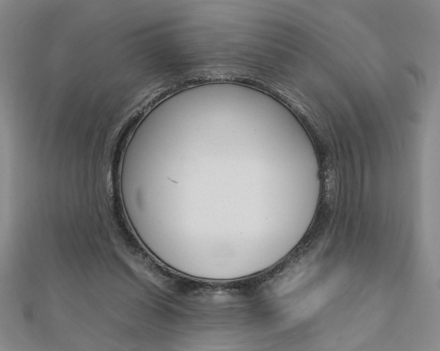 X0000112470254200908170957