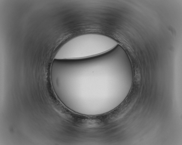 X0000112470255200908170957