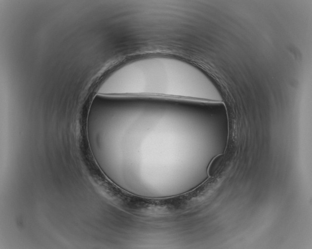 X0000112470256200908170957