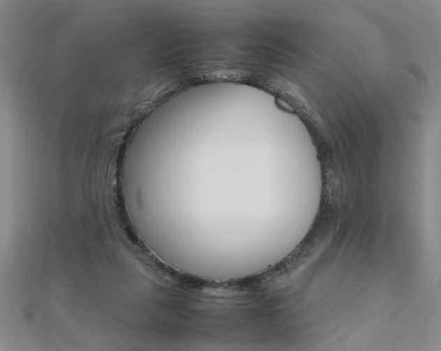 X0000112470259200908170957
