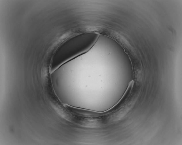 X0000112470260200908170957