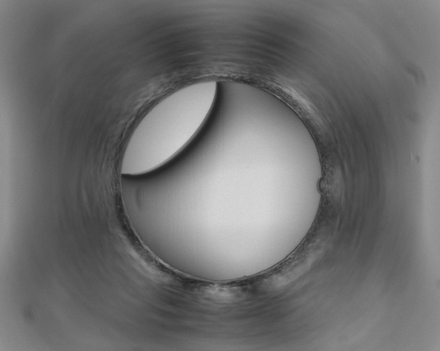 X0000112470261200908170957