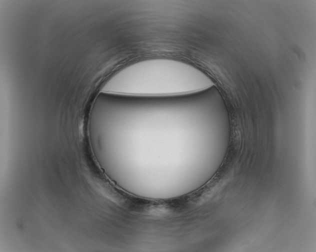 X0000112470262200908170957