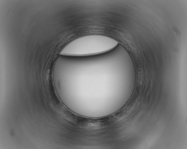 X0000112470263200908170957