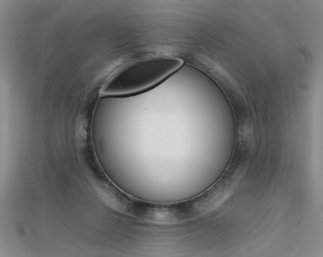 X0000112470264200908170957