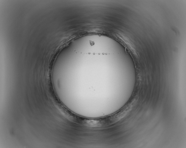 X0000112470265200908170957