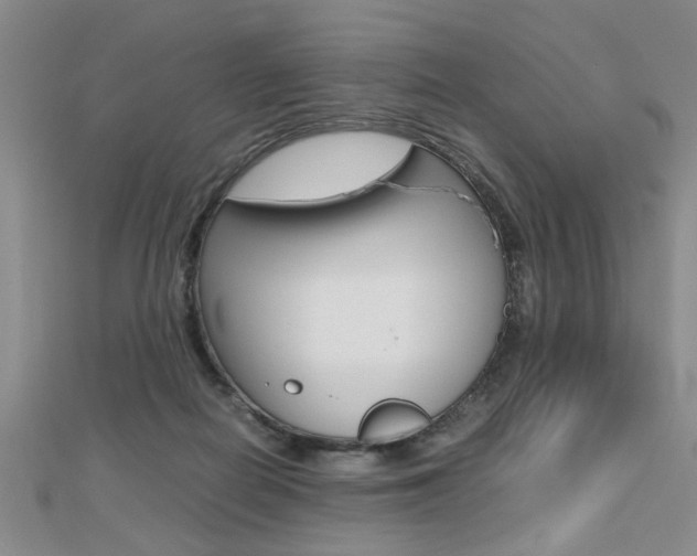 X0000112470266200908170957