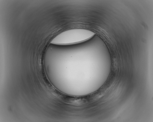X0000112470267200908170957
