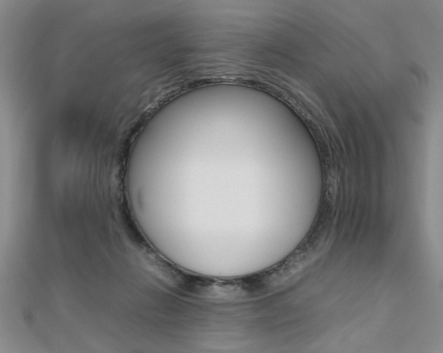 X0000112470270200908170957