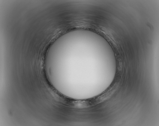 X0000112470273200908170957