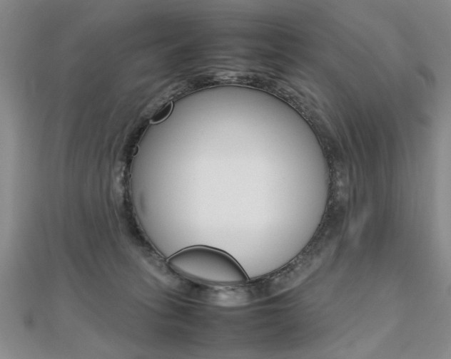 X0000112470275200908170957