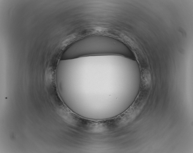 X0000112470276200908170957