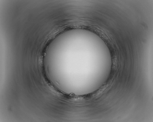 X0000112470278200908170957