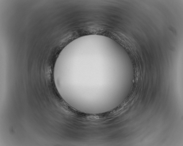 X0000112470279200908170957