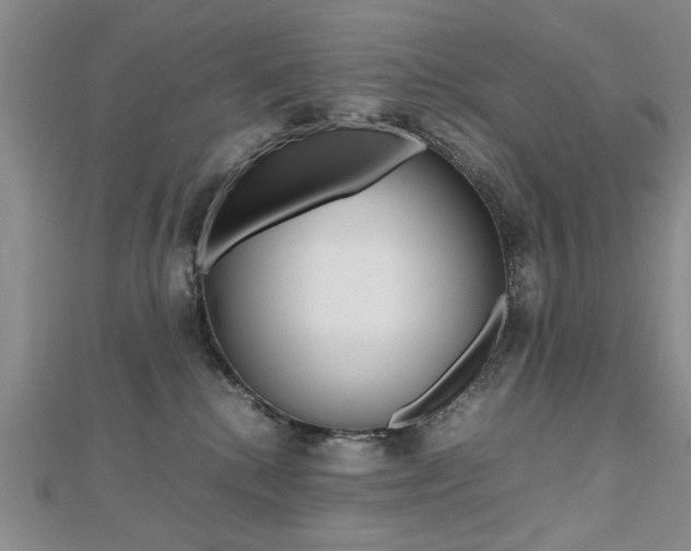X0000112470280200908170957