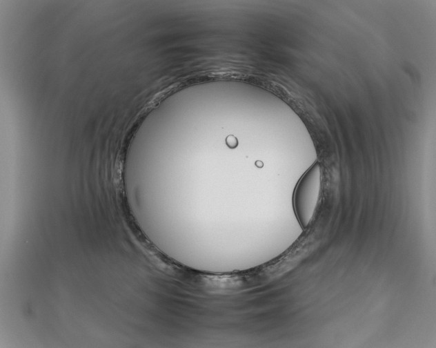 X0000112470281200908170957