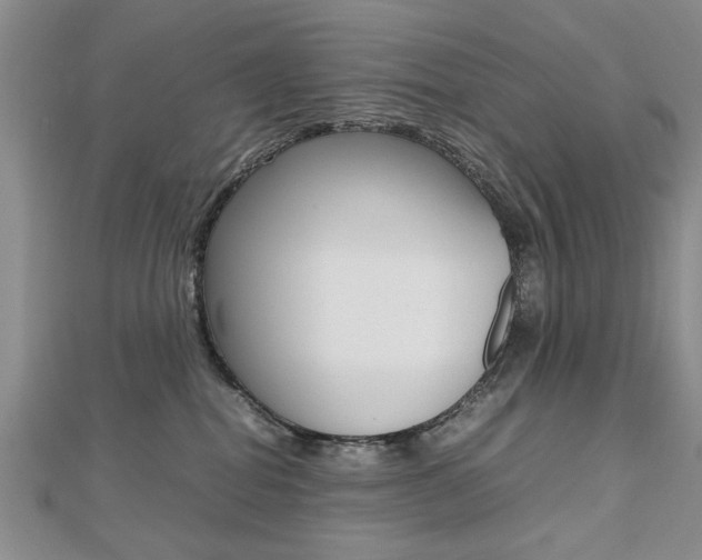 X0000112470282200908170957