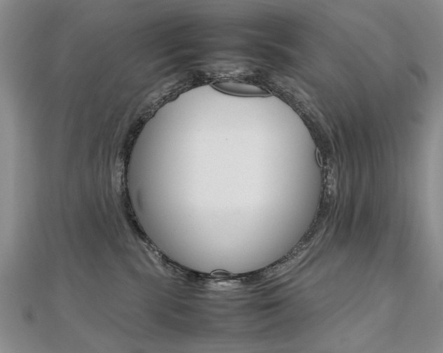 X0000112470283200908170957
