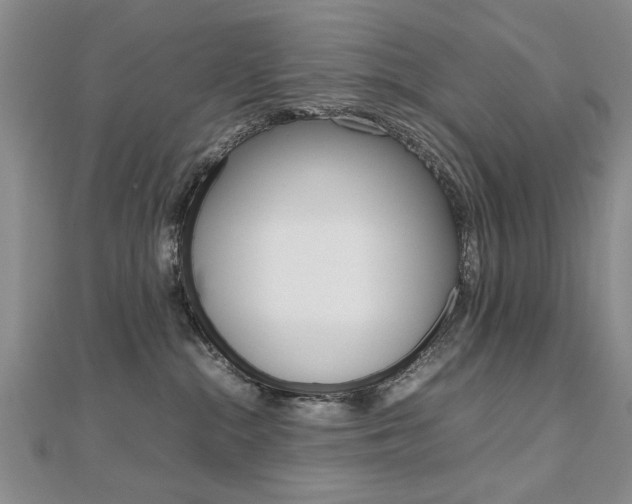 X0000112470284200908170957
