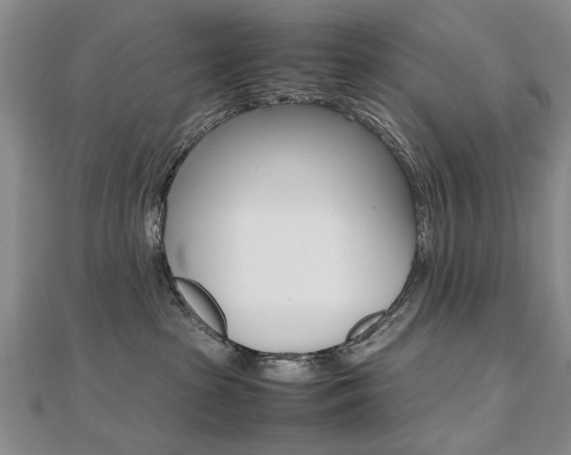 X0000112470285200908170957