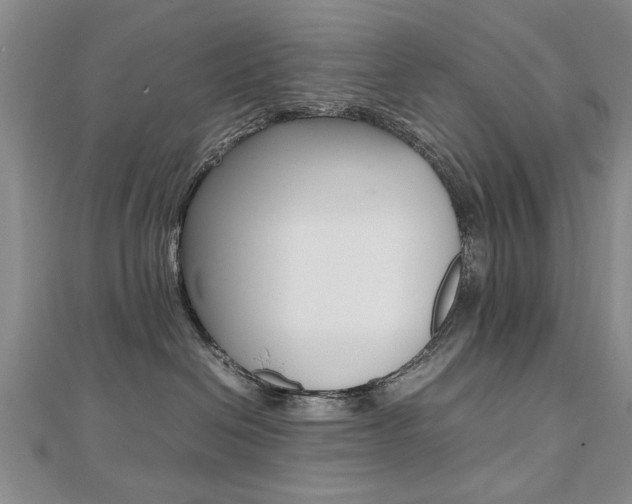 X0000112470286200908170957