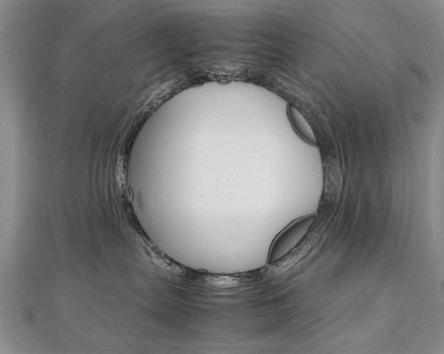 X0000112470287200908170957