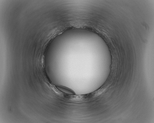 X0000112470288200908170957