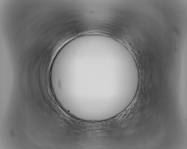 X0000112470289200908170956