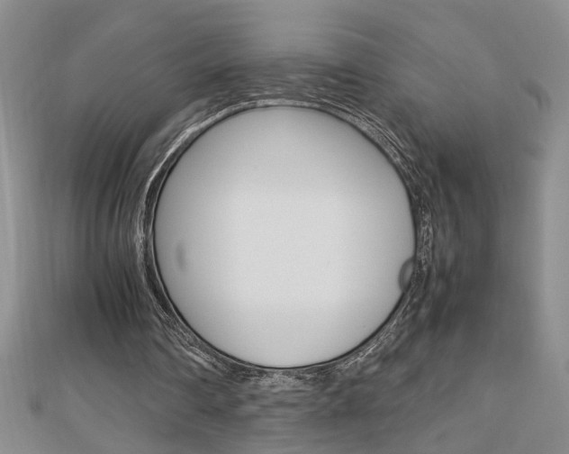 X0000112470290200908170956