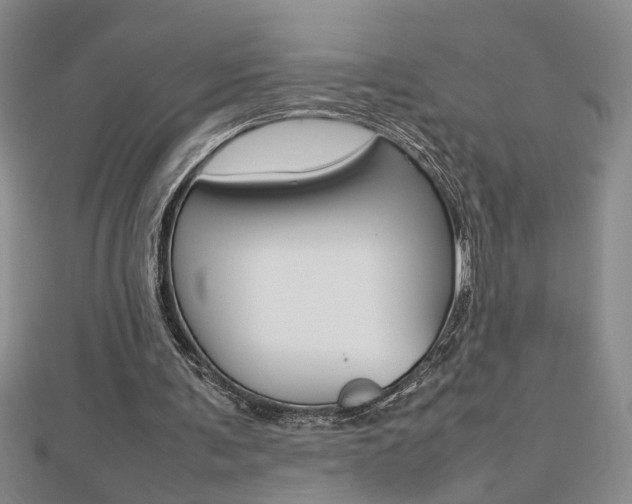 X0000112470291200908170956