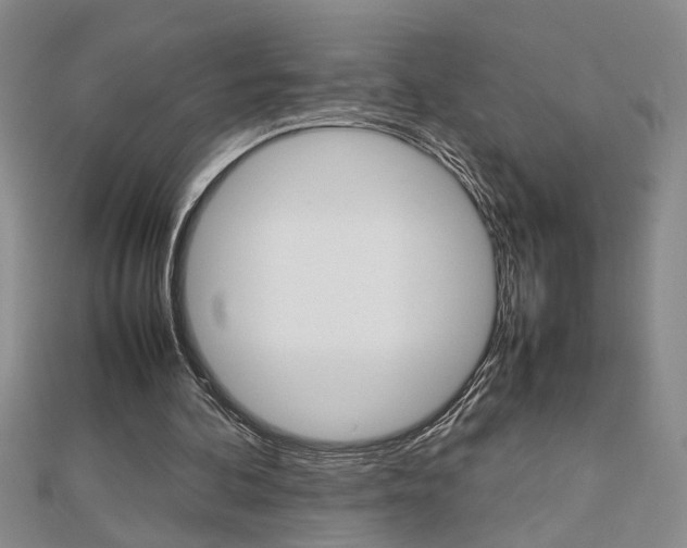 X0000112470292200908170956