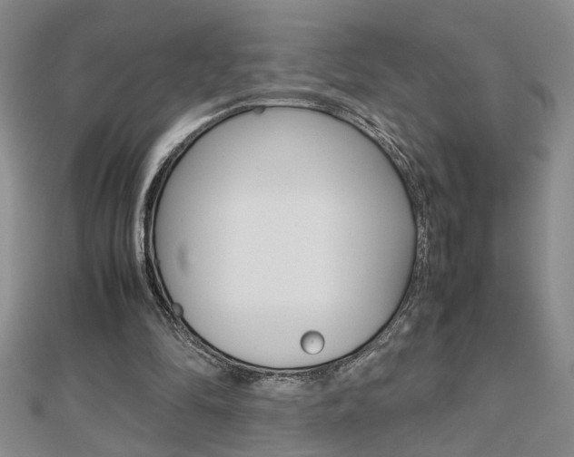 X0000112470294200908170956