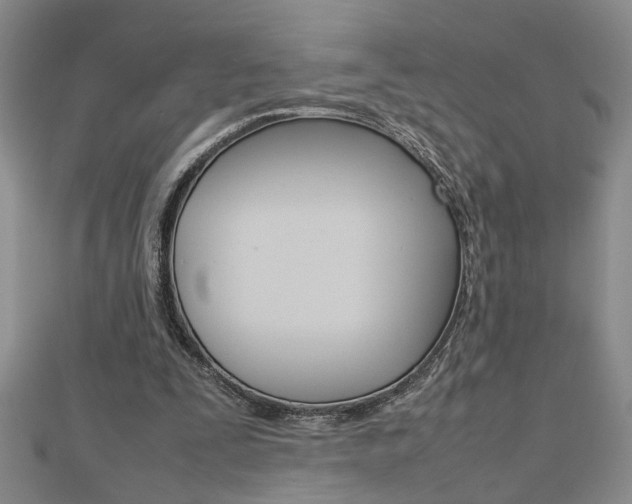 X0000112470295200908170956