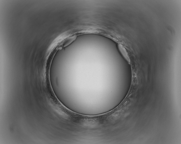 X0000112470296200908170956