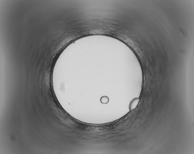 X0000112470297200908170956