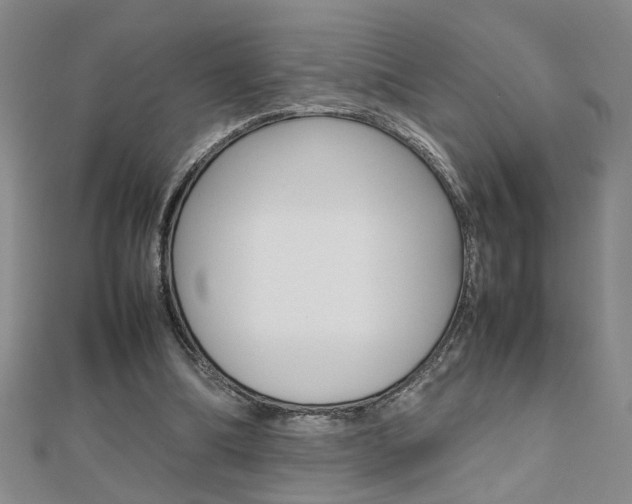 X0000112470298200908170956