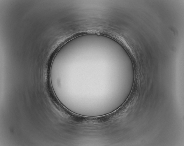 X0000112470299200908170956