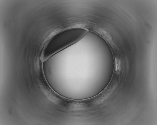 X0000112470300200908170956