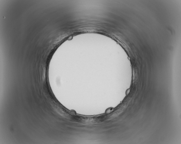 X0000112470301200908170956