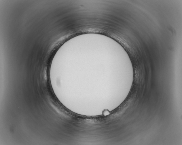 X0000112470302200908170956