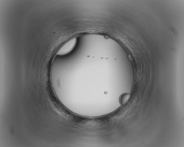 X0000112470303200908170956