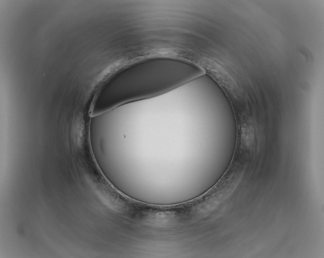 X0000112470304200908170956