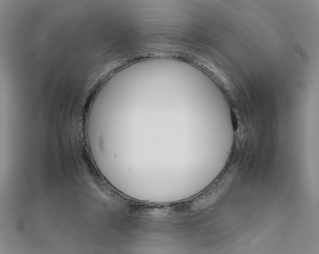 X0000112470306200908170956