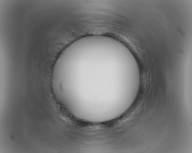 X0000112470307200908170956