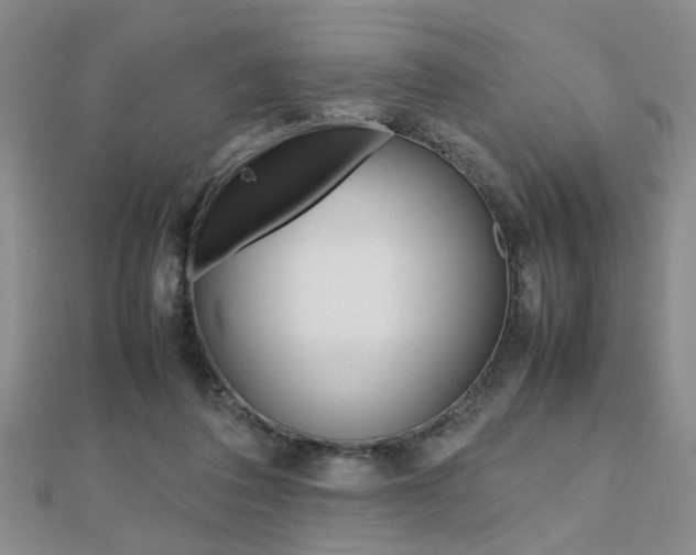 X0000112470308200908170956