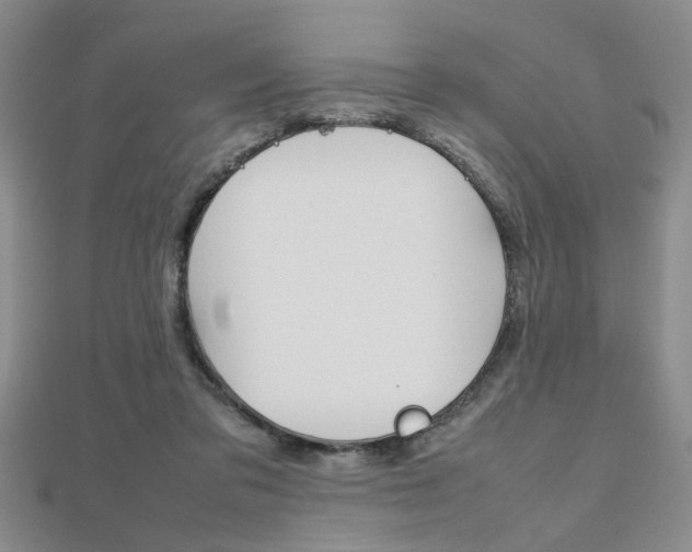 X0000112470309200908170956