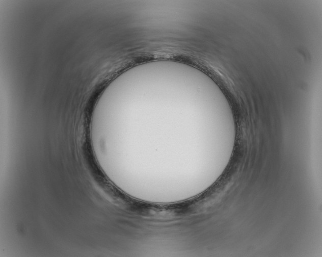 X0000112470311200908170956