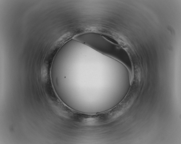 X0000112470312200908170956