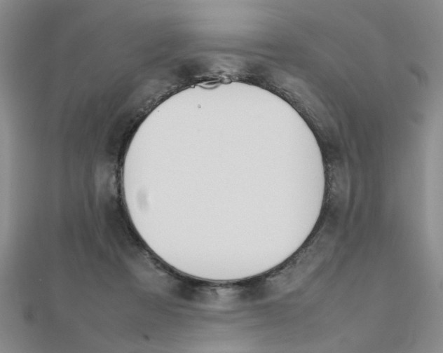 X0000112470313200908170956