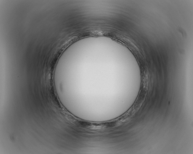 X0000112470314200908170956